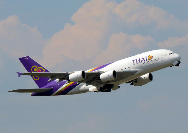 Thai Airways Avoids Bankruptcy
